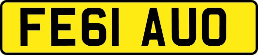 FE61AUO