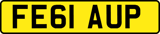 FE61AUP
