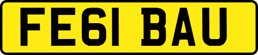 FE61BAU