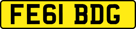 FE61BDG