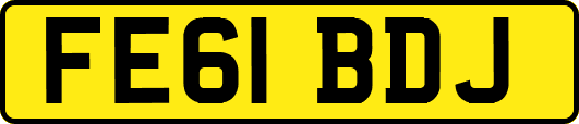 FE61BDJ