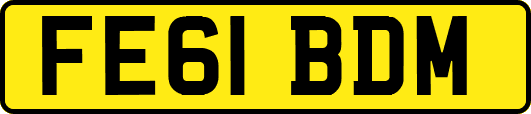 FE61BDM