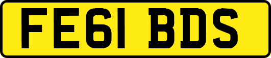 FE61BDS