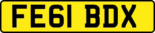 FE61BDX