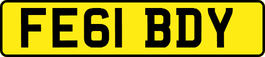 FE61BDY