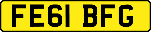 FE61BFG