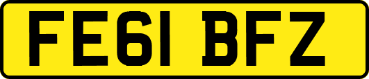 FE61BFZ
