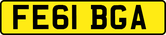 FE61BGA