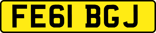 FE61BGJ