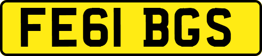 FE61BGS