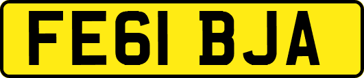 FE61BJA