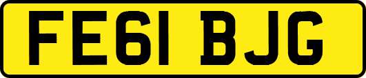 FE61BJG