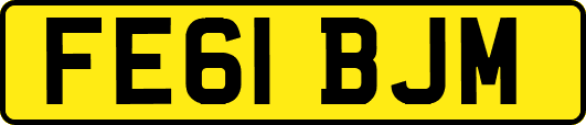 FE61BJM