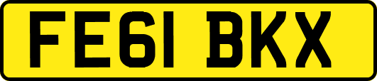 FE61BKX