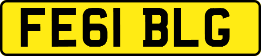 FE61BLG