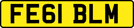 FE61BLM