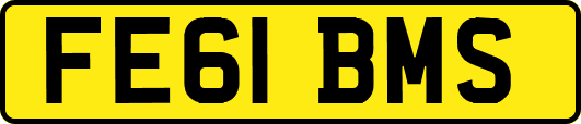 FE61BMS