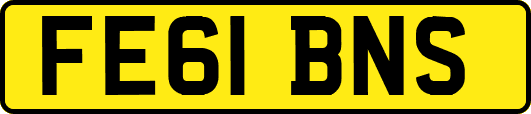 FE61BNS