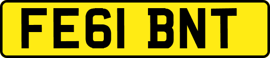 FE61BNT