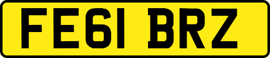 FE61BRZ