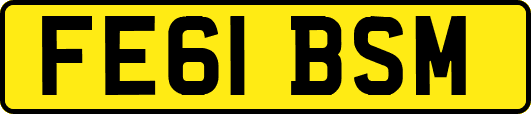 FE61BSM