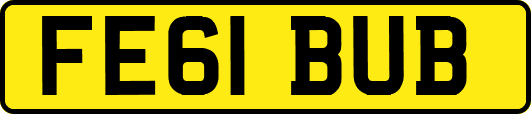 FE61BUB