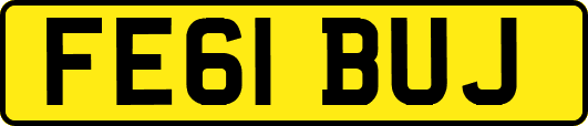FE61BUJ