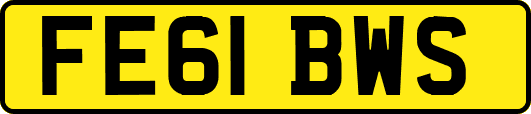 FE61BWS