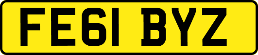 FE61BYZ