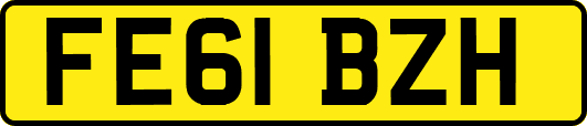 FE61BZH