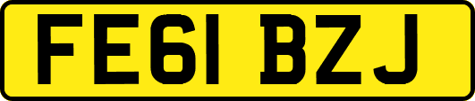 FE61BZJ