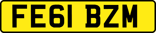 FE61BZM