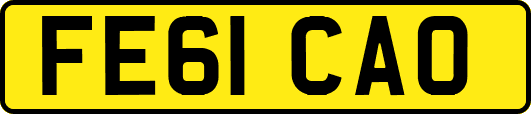 FE61CAO