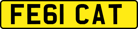 FE61CAT
