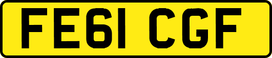 FE61CGF