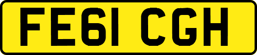 FE61CGH