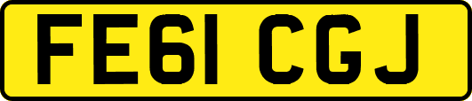 FE61CGJ