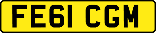 FE61CGM