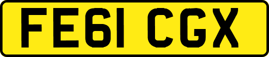 FE61CGX