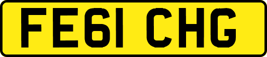 FE61CHG