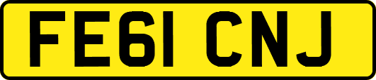 FE61CNJ