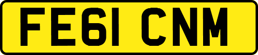 FE61CNM