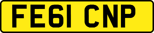 FE61CNP