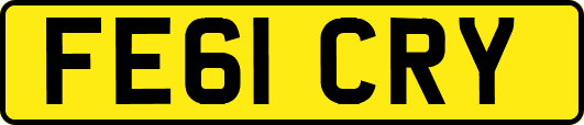 FE61CRY