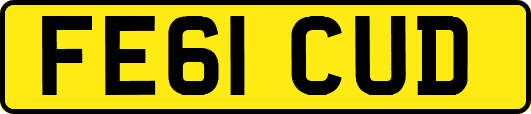 FE61CUD