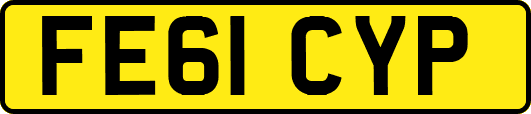FE61CYP
