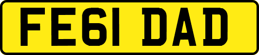 FE61DAD