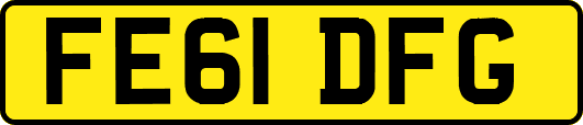 FE61DFG