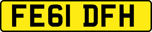 FE61DFH