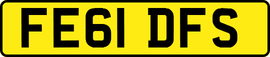 FE61DFS
